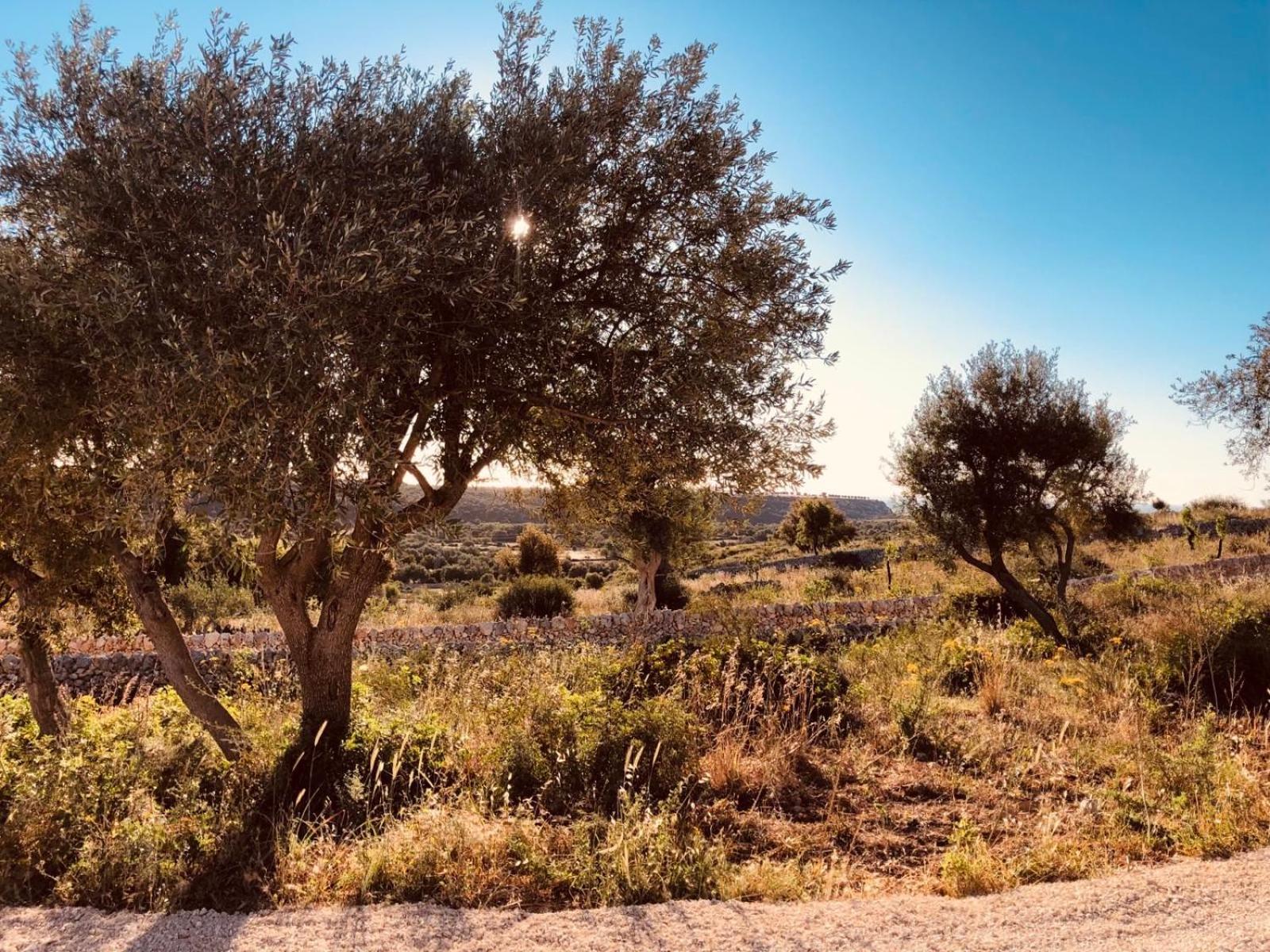 Casa Imayah Charming B&B Noto Exterior foto